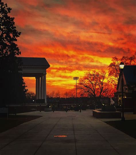 Sunset Over Park With Trees