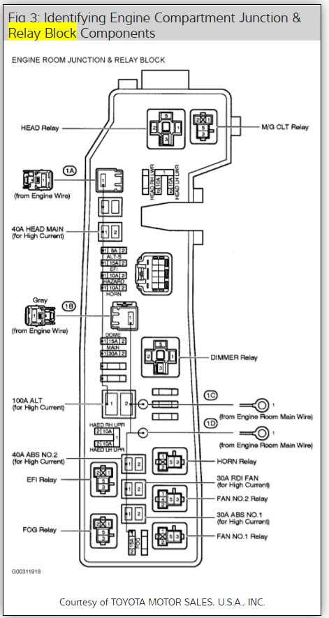 Toyota Corolla Fuel Pump Relay Location