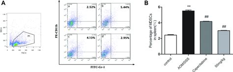 Flow Cytometry Results Of MDSCs In Spleens Of CAC Mice HLJ2 Decreased