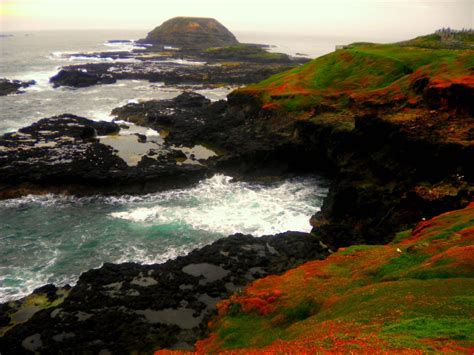 Phillip Island Australia