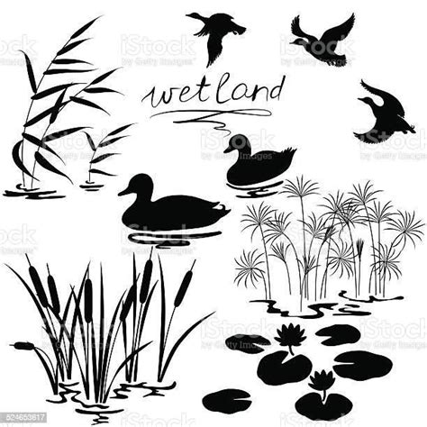 Pin By Origour On Big Collection Silhouette Vector Wetland Water Plants