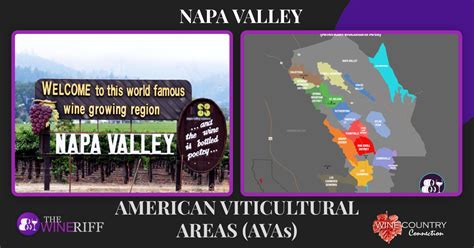 Savor Napa Valley: Top Wine Growing Regions