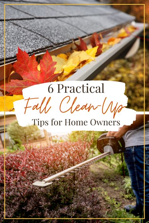 6 Practical Fall Clean-Up Tips for Homeowners