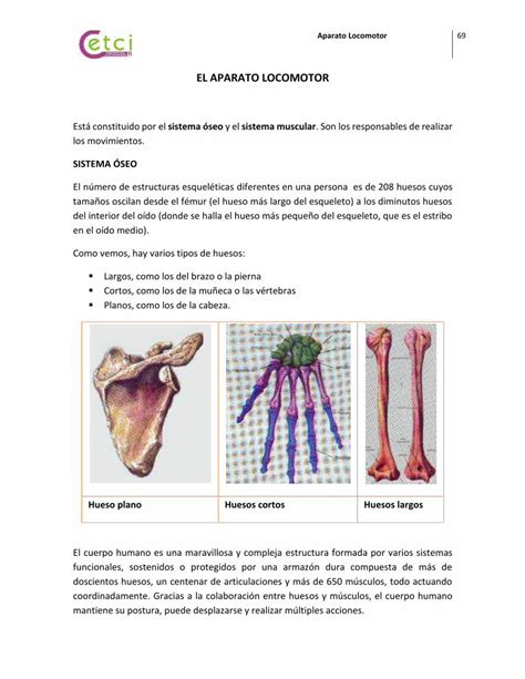 PDF 6 Aparato Locomotor Patologías Tratamientos MOD DOKUMEN TIPS