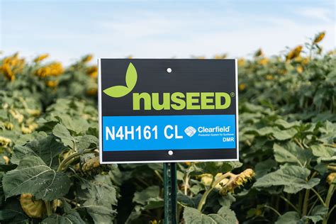 New Option For Short Seasons And Double Cropping Nuseed Usa