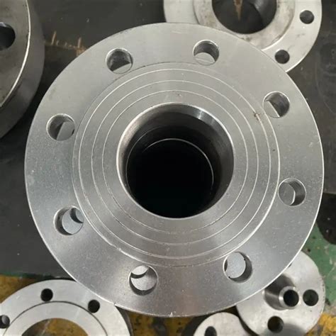 ANSI 304 304L 316 316L Forged Stainless Steel Pipe Flange China Tube