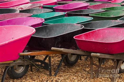 Wheelbarrow Brigade Photograph By Victoria Harrington Fine Art America