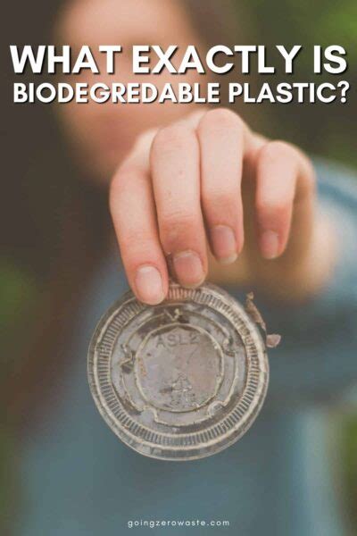 Qu Es El Pl Stico Biodegradable Es Sostenible Zero Waste