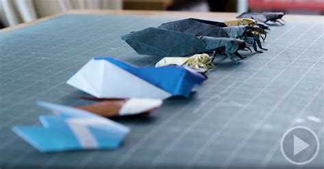 Origami Cicada Levels Of Complexity From Easiest To Most Difficult