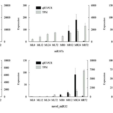 Quantitative Real Time Pcr Qrt Pcr Validation Of Differentially