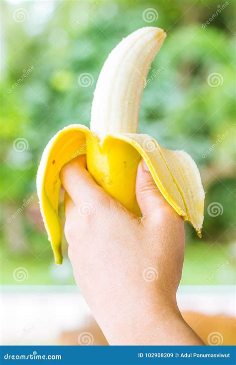 Hand Holding A Bananahealthy Food Bananas Rich In Vitamins Healthy