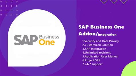 Sap Business One Addon Development And Integration By Imhamzaqazi Fiverr