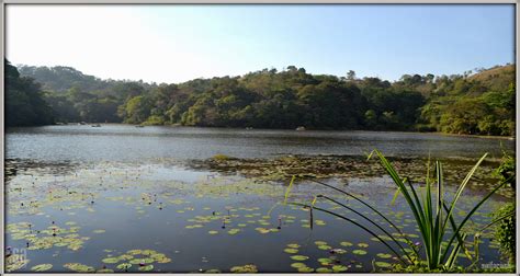 Saif Arash Photography: Pookode Lake - Wayanad - Kerala