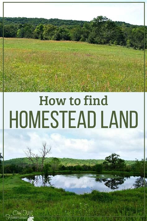 How To Find Homestead Land Oak Hill Homestead