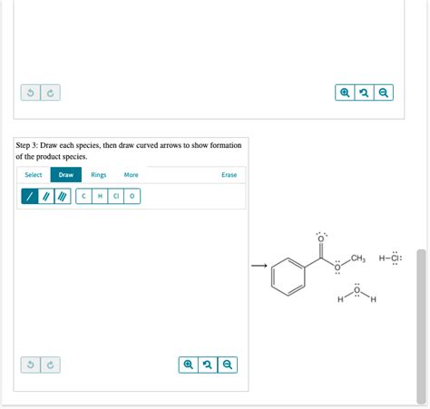 Solved Examination Of The Fischer Esterification Mechanism Chegg