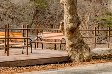 Two Park Benches on Wooden Boardwalk Stock Photo - Image of peaceful ...