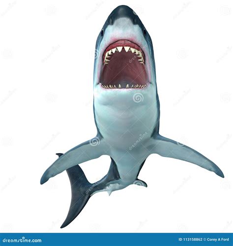 Megalodon Cartoons, Illustrations & Vector Stock Images - 589 Pictures ...