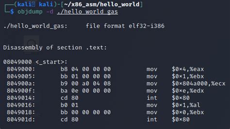 Linux X Assembly How To Make Our Hello World Usable As An Exploit