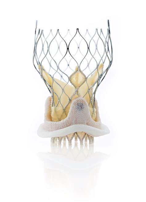 Medtronic Corevalve® System Gains First Approval For Transcatheter