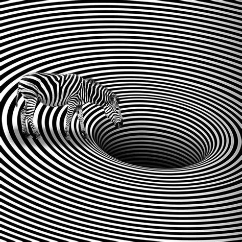 Pin on Svar o vitt | Posters art prints, Optical illusions art ...