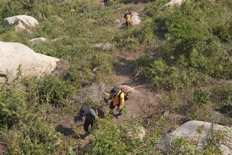 Atiende Gobierno Municipal Incendios En Distintos Puntos De Acapulco