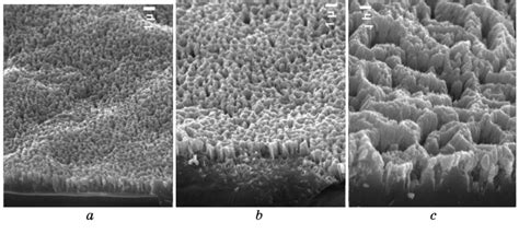 Sem Micrographs Of The Surface Of Single Crystal Silicon Wafers At