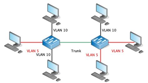 mengenal trunk pengertian jenis  fungsinya ids digital college