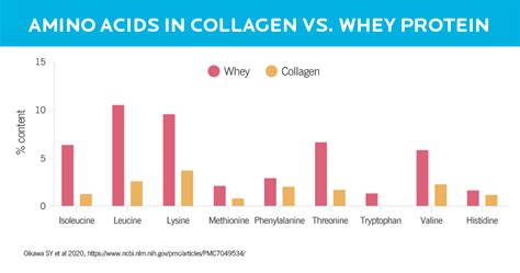 Collagen Benefits Are The Claims True Precision Nutrition