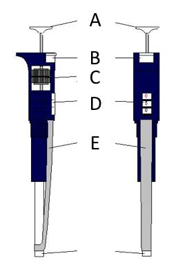 Bio Lab Midterm Diagram Quizlet