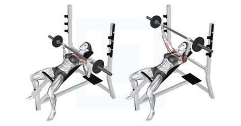 Barbell Incline Bench Press - Guide, Benefits, and Form