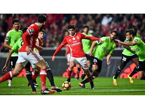 Benfica vence último jogo do ano e aumenta vantagem no Português Lance