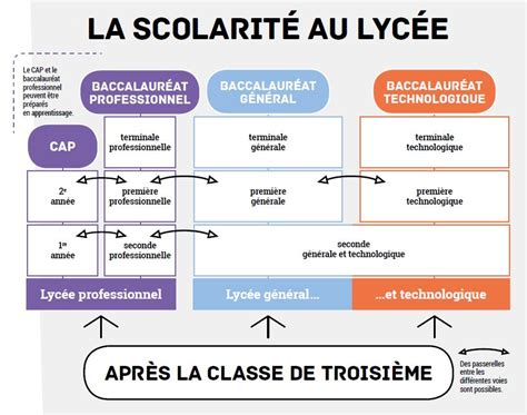 Dépliant Dinformation Sur Les Nouveautés Au Lycée Dans La Voie