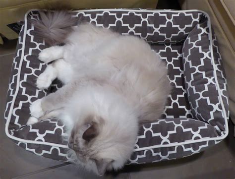 Bowsers Pet Bed Urban Lounger - Floppycats™