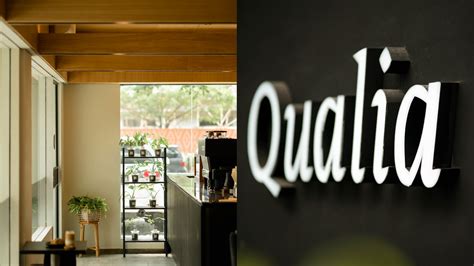 qualia  behance