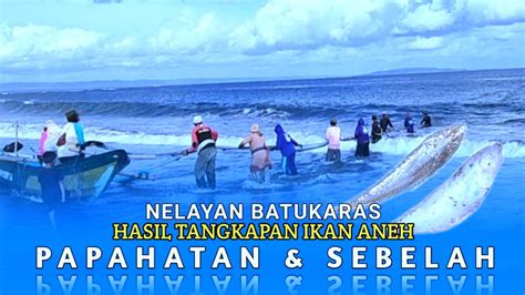 Nelayan Batukaras Hasil Tangkapan Dapat Ikan Sebelah Youtube