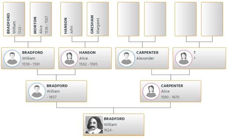 William Bradford Family Tree