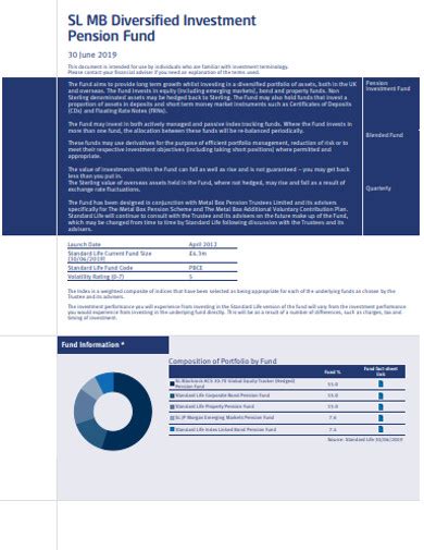 Diversified Investment 10 Examples Format Pdf