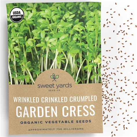 Organic Garden Cress Seeds Mmf7 ‘wrinkled Crinkled Over 300 Open Pollinated Non Gmo Seeds