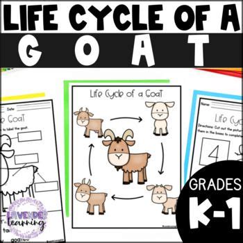 Life Cycle of a Goat Activities, Worksheets, Booklet, Posters - Goat ...