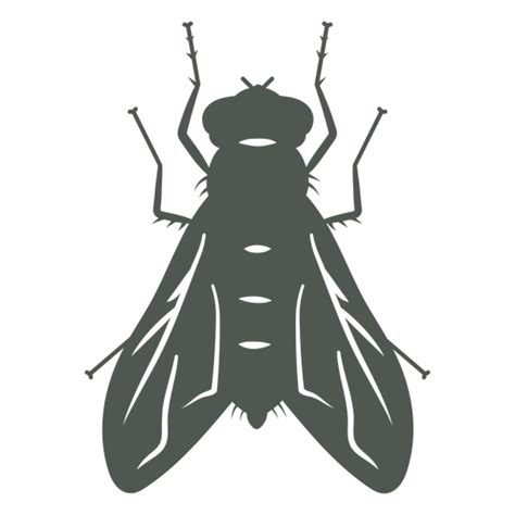 Dise O Png Y Svg De Una Mosca En Las Sombras Para Camisetas