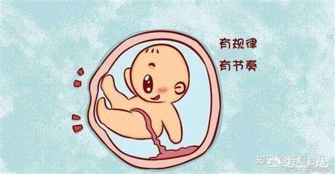 数胎动的意义、如何正确数胎动？胎动异常如何正确应对？ 知乎