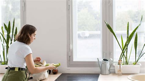 Why Choosing Between Single Pane Vs Double Pane Windows Matters