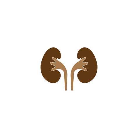 Kidney icon vector illustration template design 10060537 Vector Art at ...