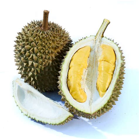 D197 Musang King Durian Wholesale Supplier In Malaysia