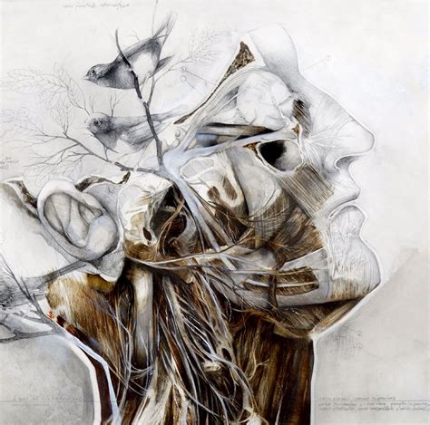 Nunzio Paci Nunzio Paci Unique Paintings Anatomy Art