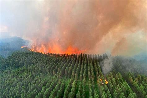 Waldbrände in Europa 14 000 Menschen in Südwestfrankreich evakuiert