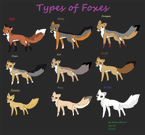 Different Foxes Types