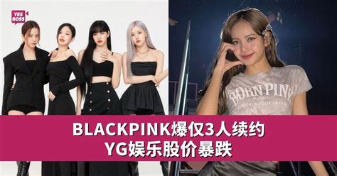 Blackpink Lisa传不续约 韩媒曝1原因卡关 韩流哈日 Yesboss