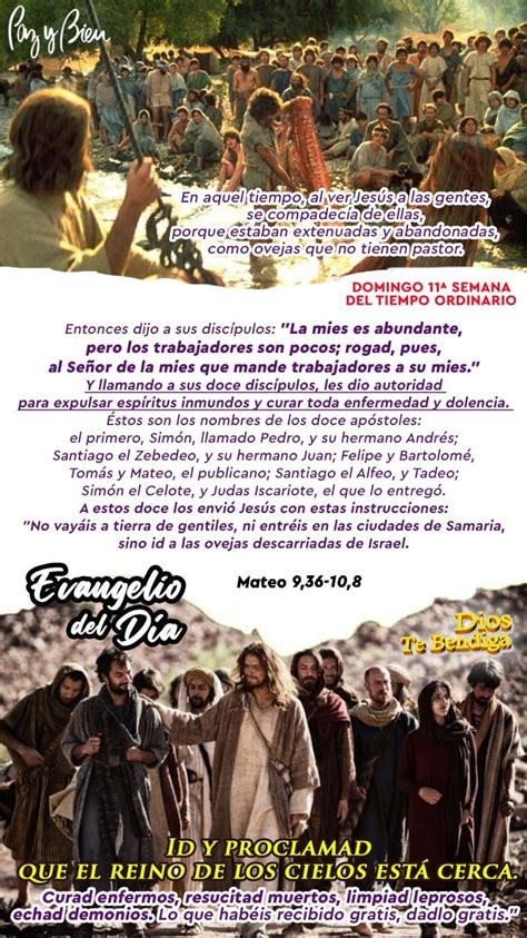 Pazybien VamosaOrar EVANGELIOYLECTURAS EUCARISTÍA DOMINGO 18 DE