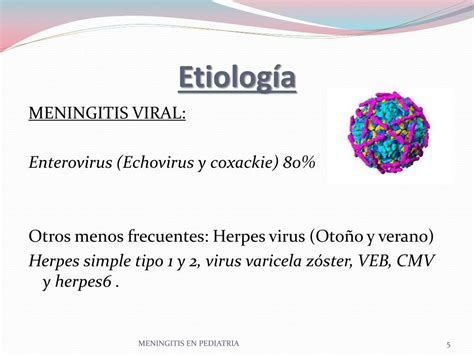 Ppt Meningitis En Pediatria Powerpoint Presentation Free Download Id 5979904